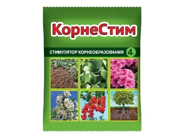 Стимулятор корнеобразования 4 гр. ВХ